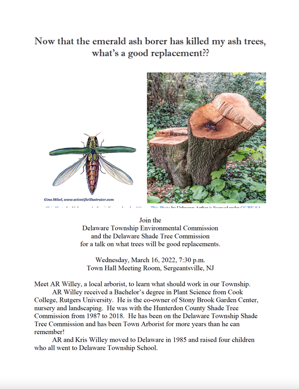 tree talk flyer